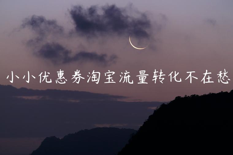 小小優(yōu)惠券淘寶流量轉(zhuǎn)化不在愁